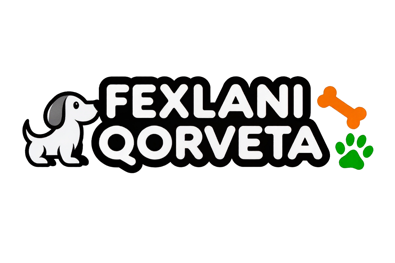 FEXLANI QORVETA LLC